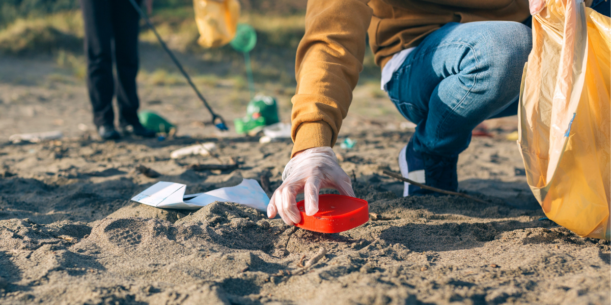 5 Ways You Can Help Protect The Ocean