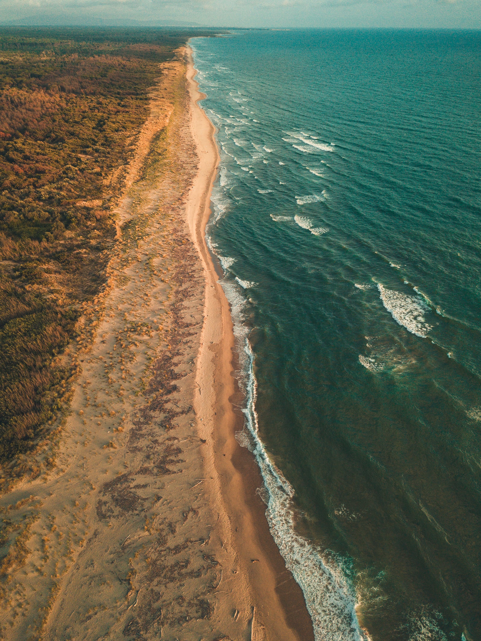 How is California Mitigating the Affects of Single-Use Plastics in California Waterways